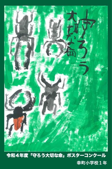 r4_s_079